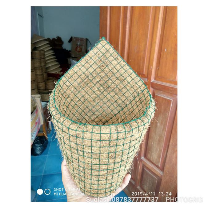POT SABUT KELAPA KEONG JUMBO