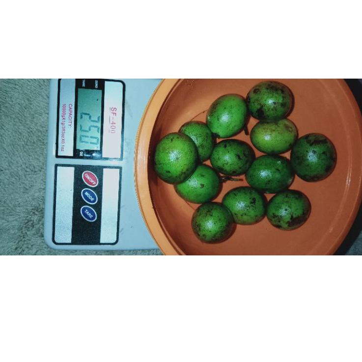 

[KODE BARANG HWN55] BUAH GANDARIA / BUAH JATAKE / BUAH SEGAR / BUAH PETISAN jz