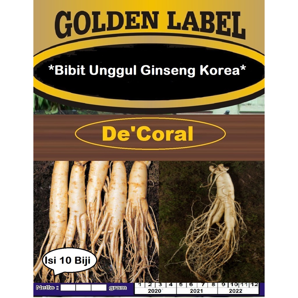 Bibit Unggul Ginseng Korea | Benih Gingseng Korea