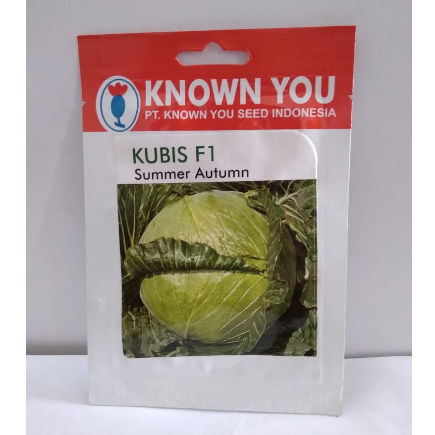 Benih / Bibit Kubis F1 Summer Autumn Known You Seed @ 150 Butir