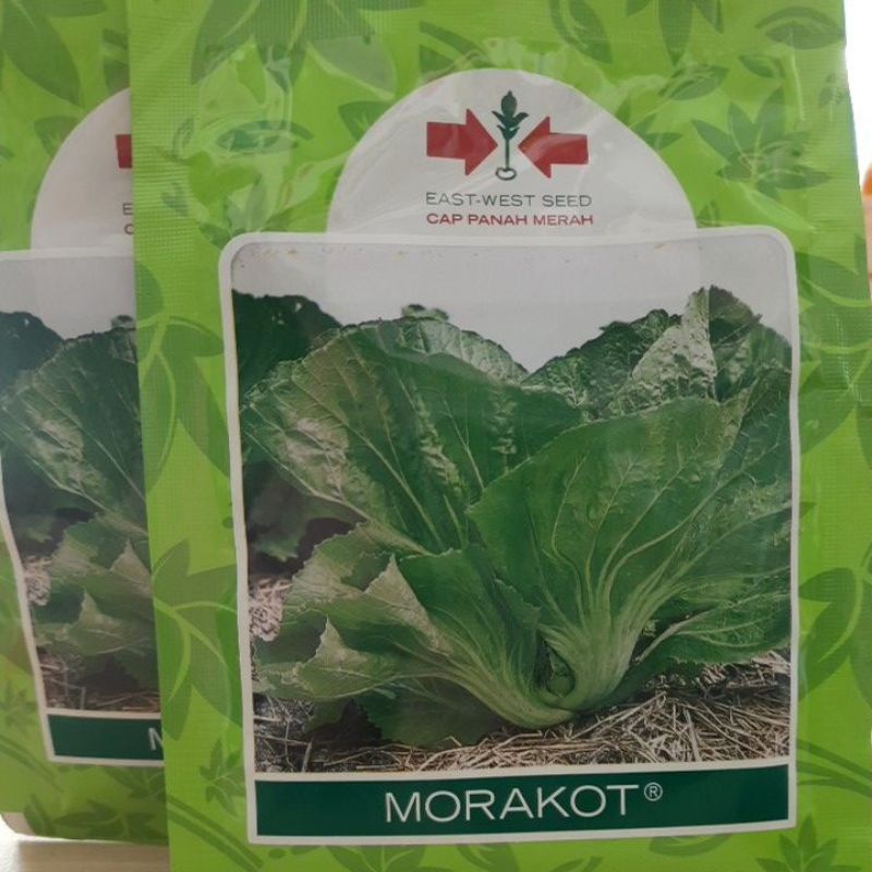 Benih Sawi Pahit MORAKOT 20 gram sawi morakot - Cap Panah Merah