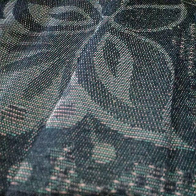 Paket 6 Jenis Calathea