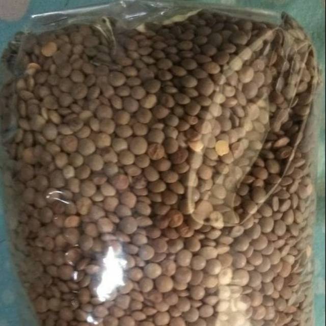 

Lentil Brown Quality(Kacang polong india) 1kg