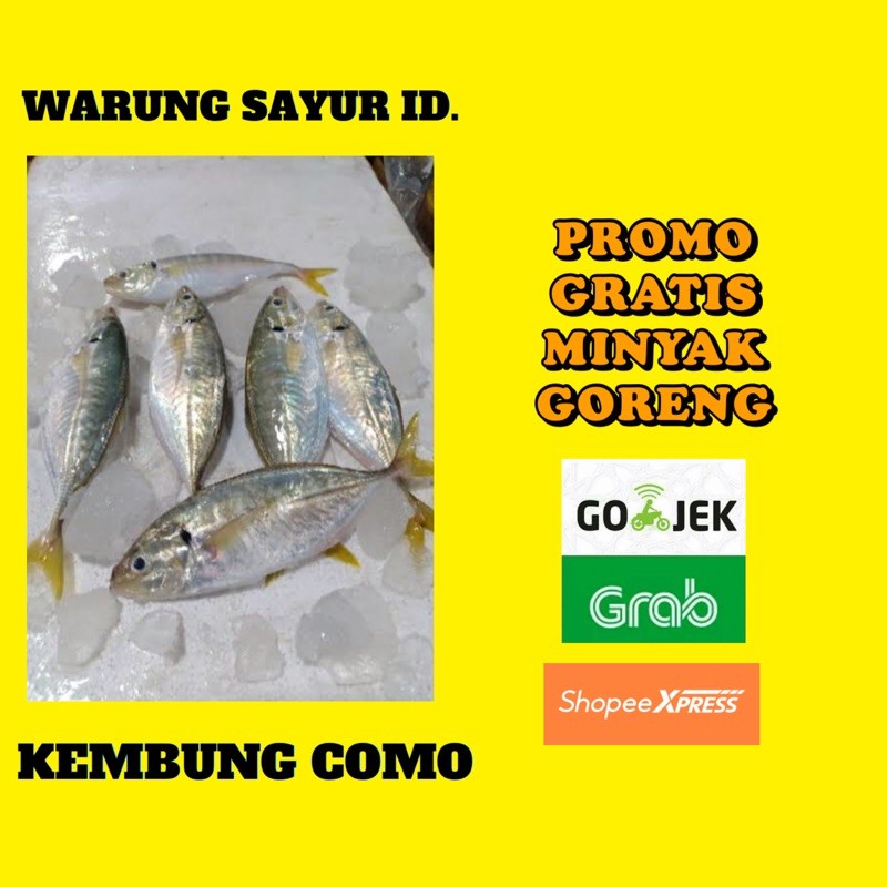 

KEMBUNG COMO SEGAR