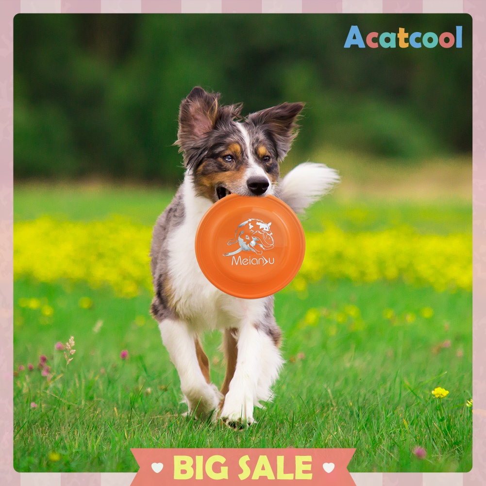 Dog Flying Disc Windproof Stable Easy to Throw Professional Pet Chew Toy