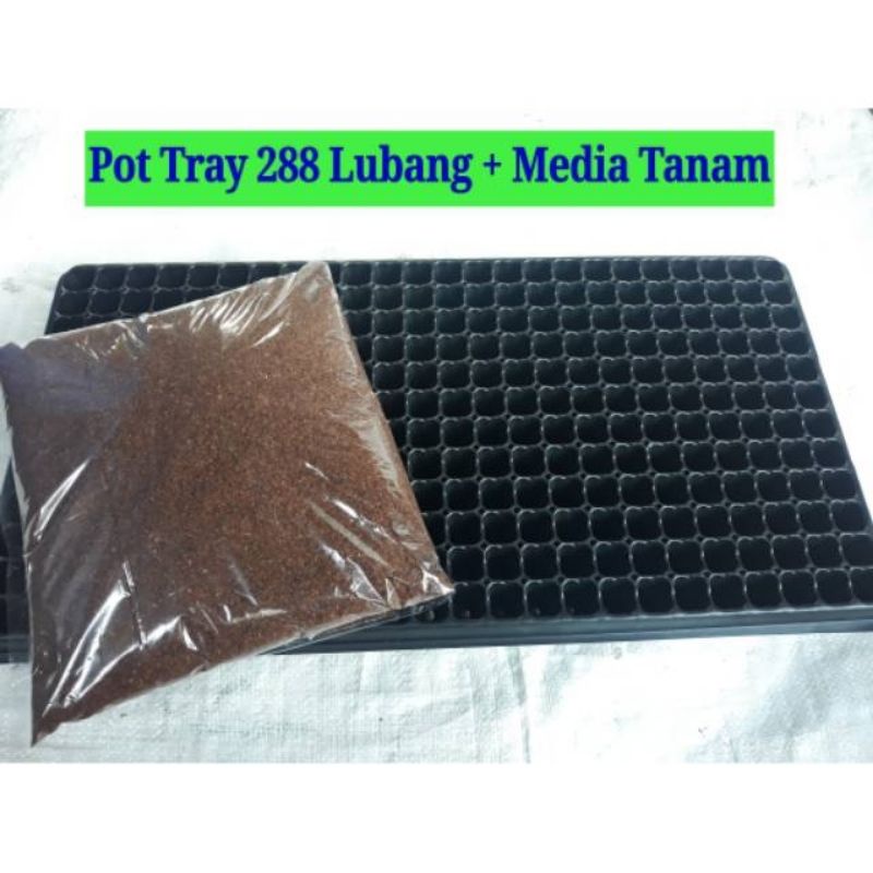 potray / nampan semai 288 lubang + media tanam cocopeat