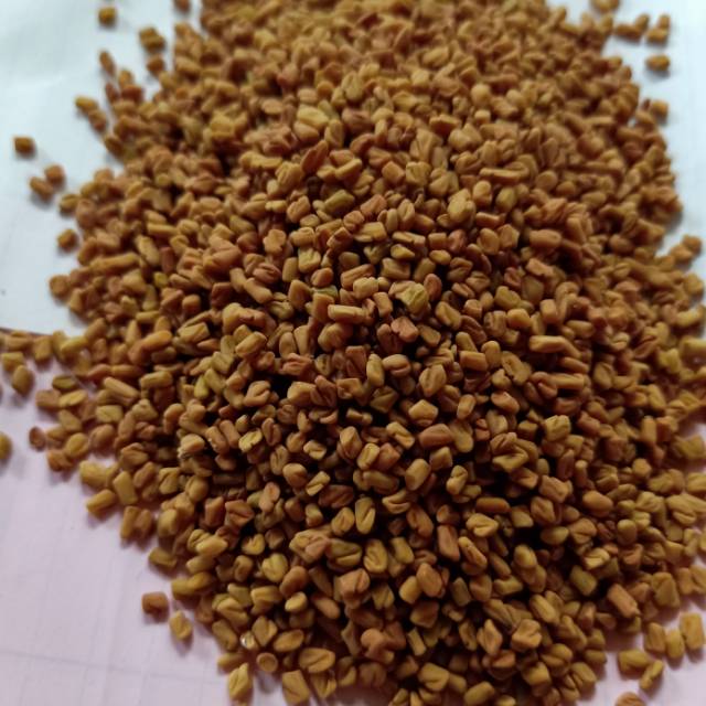 

alba Biji Alba kelabat kelabet