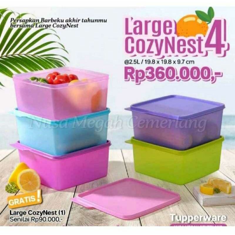 BIG SALE  TUPPERWARE COZY NEST Large 2,5L (5PCS) TEMPAT KUE KOTAK BESAR ORI PREMIUM MURAH - TOPLES L