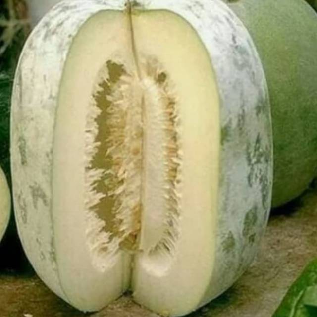 Buah Bligo - Buah Kundur 3kg