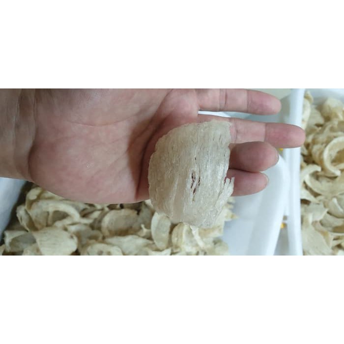 Sarang Burung Walet Mangkok (Bird Nest) SP1 100 gram