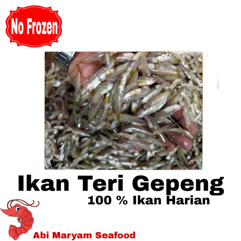 

Ikan Teri basah / Teri gepeng Fresh Berkualitas 1kg