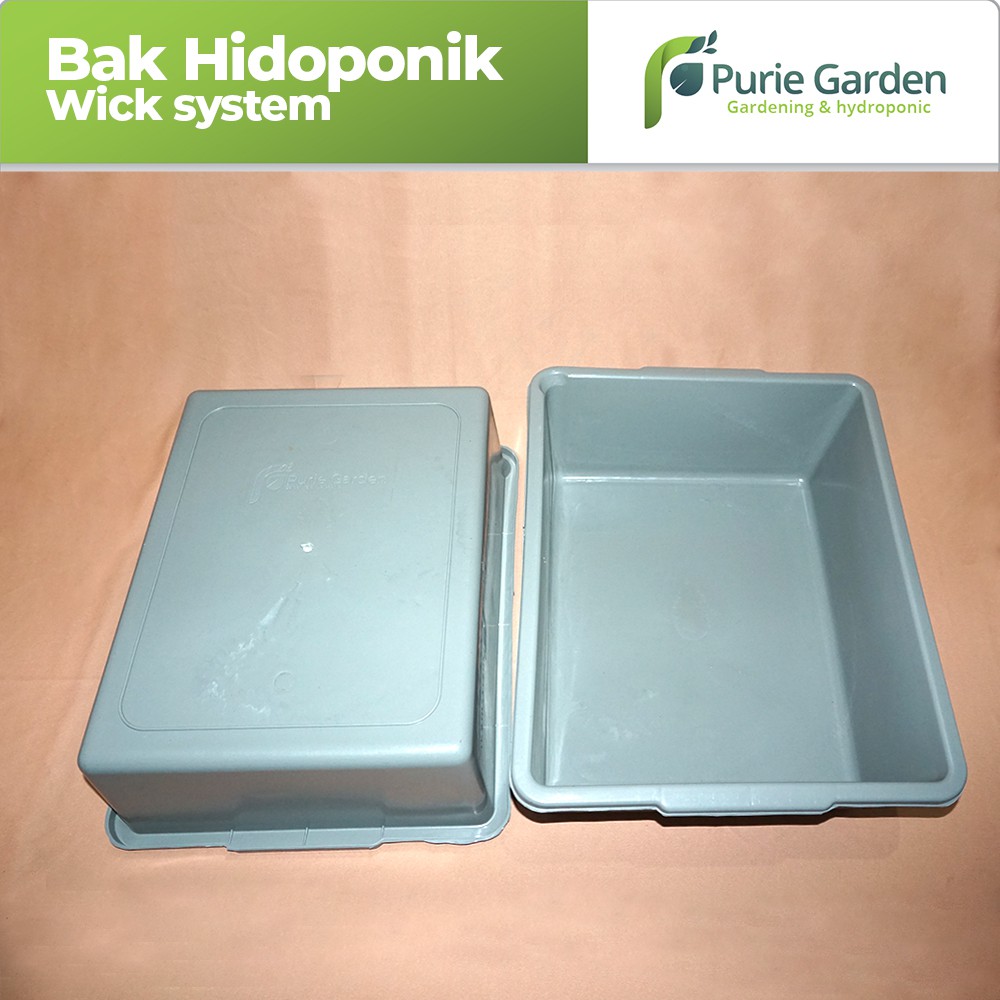 Bak Nutrisi Starter Kit Hidroponik-1pcs