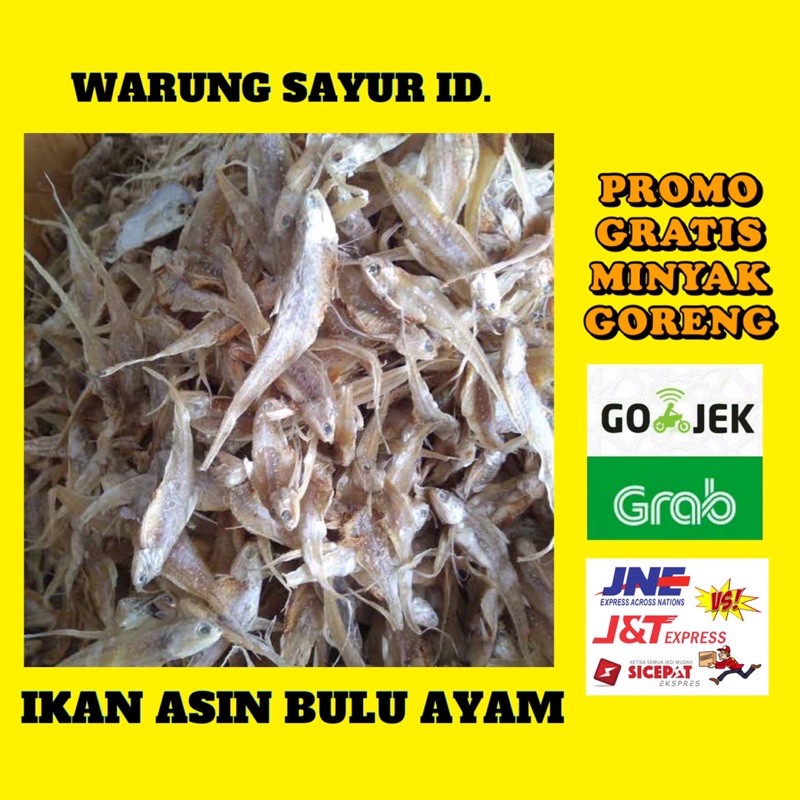 

IKAN ASIN BULU AYAM 100 GRAM