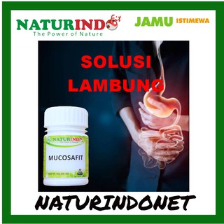 Obat Herbal Asam Lambung Magh Kronis Dan Gerd MUCOSAFIT ...