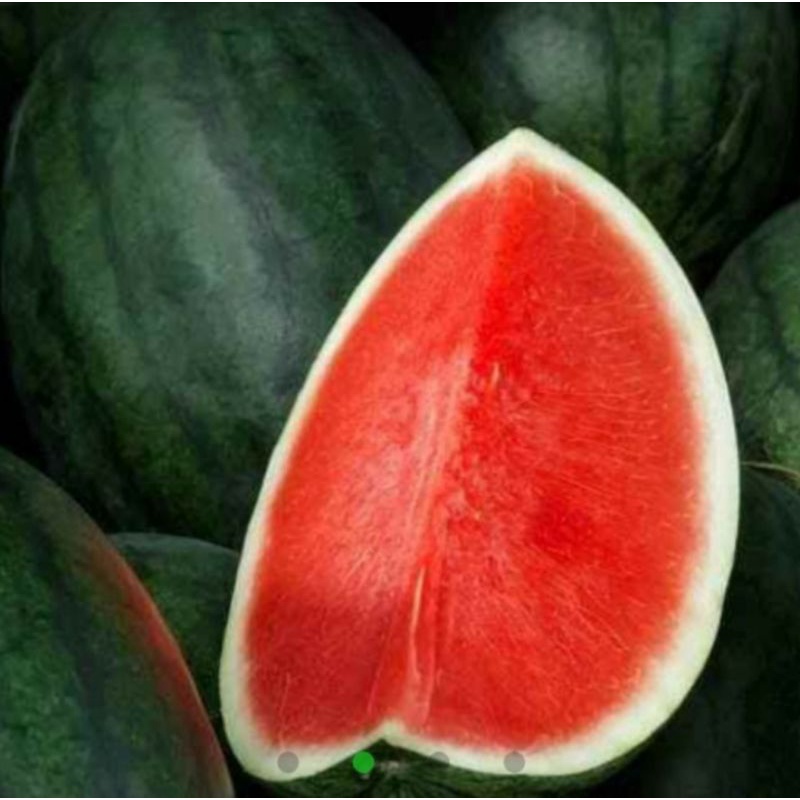 

Semangka Non Biji Berat 3 kg (Pengiriman Medan)