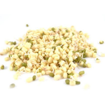 

Tauge Kecambah 250gr [Jaminan Kualitas]