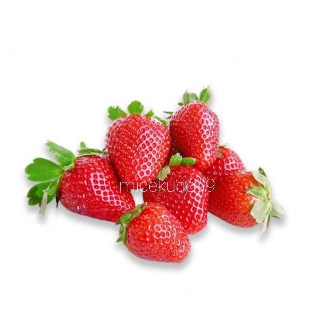 

STRAWBERRY SEGAR PETIK POHON 500GR / STROBERI STRAWBERI FRESH STRAWBERY