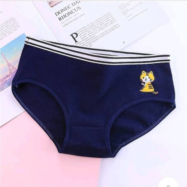 Cotton Briefs Panties