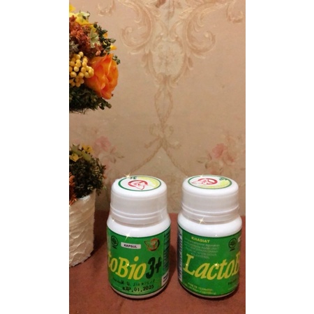 Obat Herbal Asam Urat Kolesterol LactoBio 3+