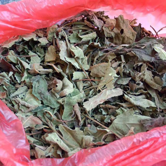 

Daun tin kering 1 kg