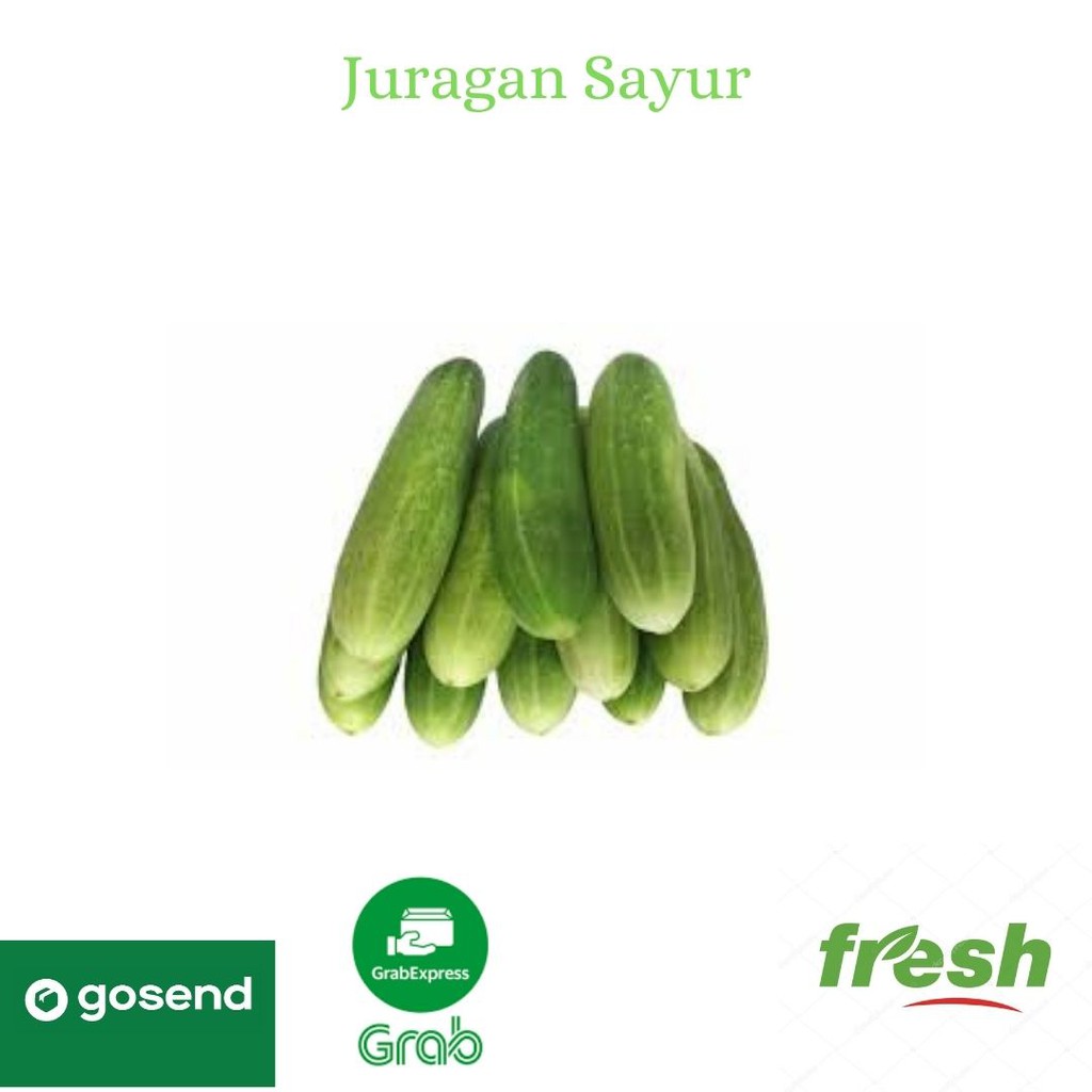 

Timun/Ketimun Besar Super Segar Murah