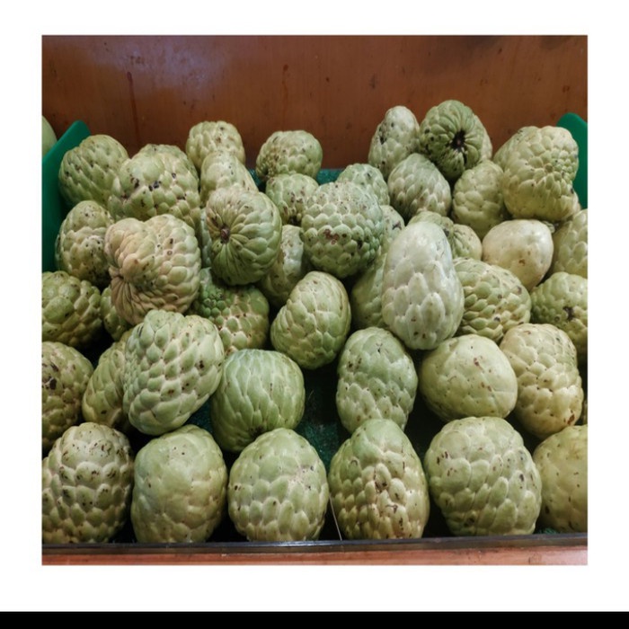 

Buah Srikaya Manis 1kg