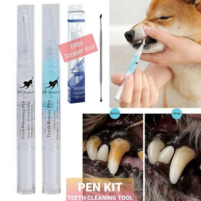 Pen Kit Pembersih Karang Gigi Anjing Pet Scaling Tool Teeth Whitening Kode 667 Shopee Indonesia