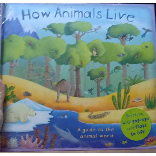 How Animals Live