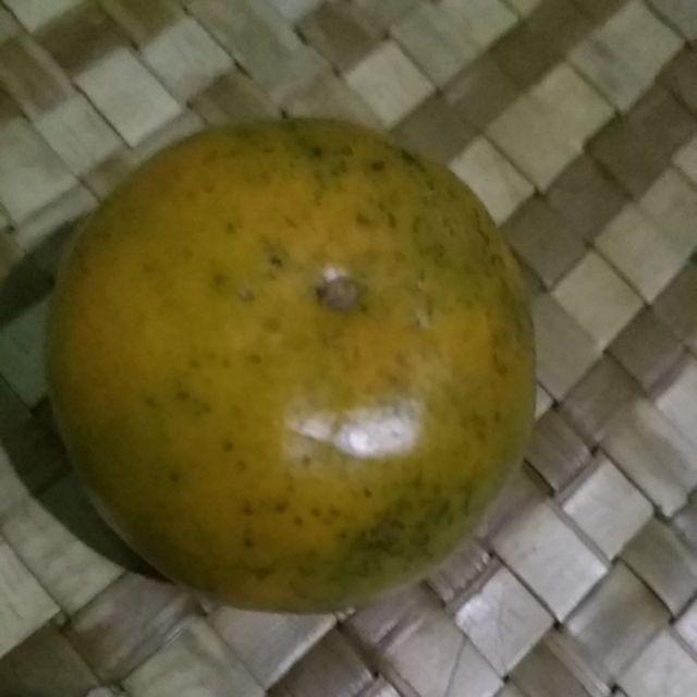 Sekatan (tanpa Loyang) Uk.30x30x4cm