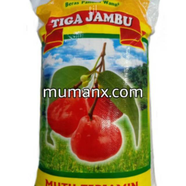 

Tiga jambu5k