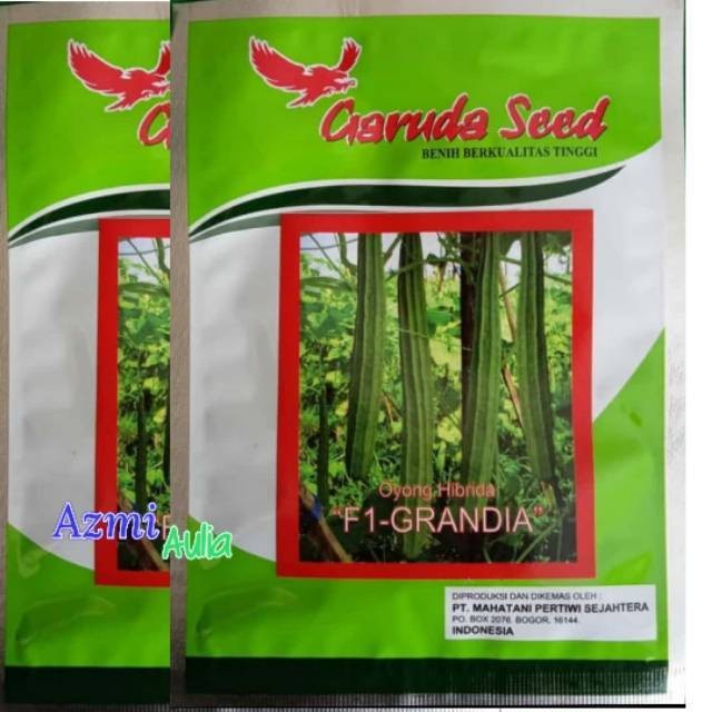 Shopritz Benih Gambas Oyong Hibrida F1 Grandia 10Gram Biji Bibit Garuda Seed