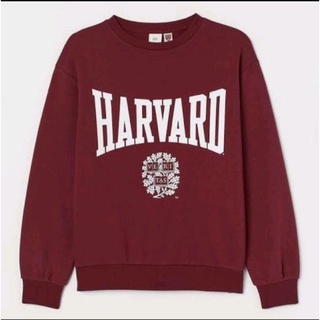 harvard sweat shirt
