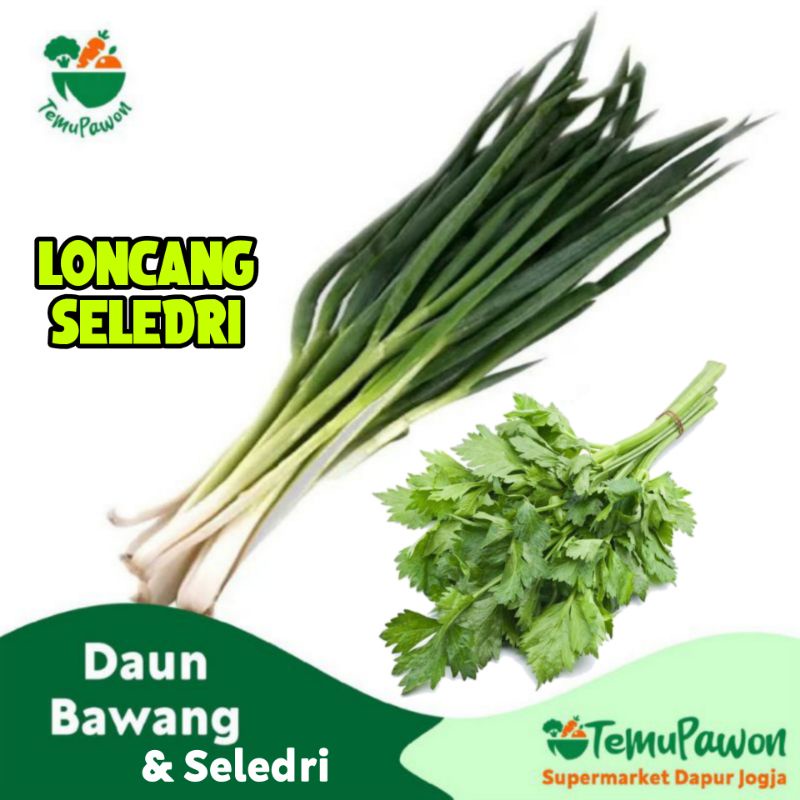 Jual Daun Bawang Seledri Per Pack Sayur Hijau Loncang Sledri Per