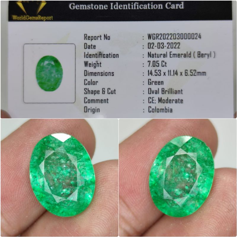 Natural Zamrud Colombia Plus Memo