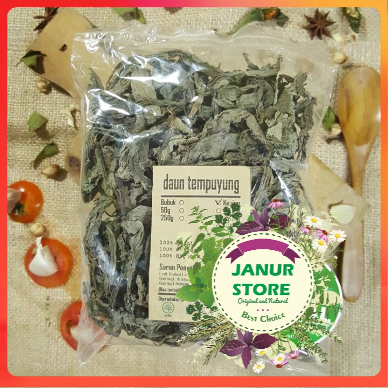 

DAUN TEMPUYUNG KERING 100 GRAM - Sonchus Arvensis - MURNI - JSR - REMPAH