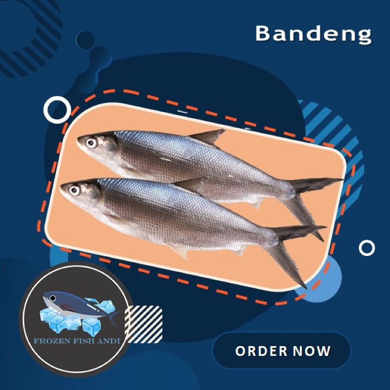 

Ikan bandeng 1 kg