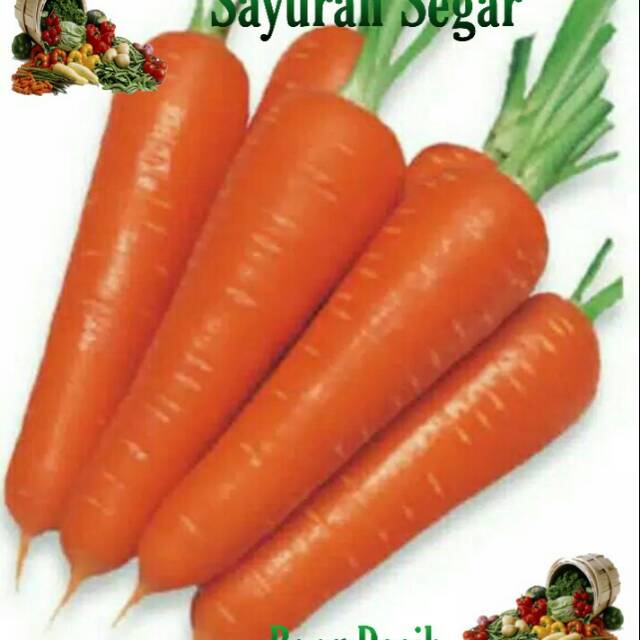 

Wortel Beras Tagi 1kg