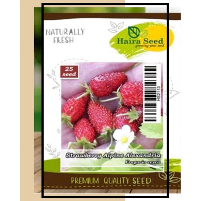 Benih Strawberry Alpine Alexandria Pouch (Haira Seed)