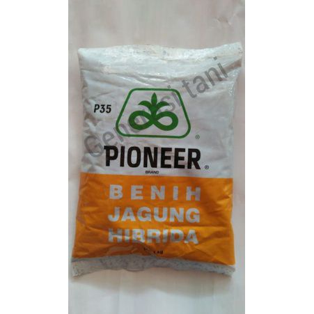 Benih jagung hibrida pioneer P35 kemasan 1kg