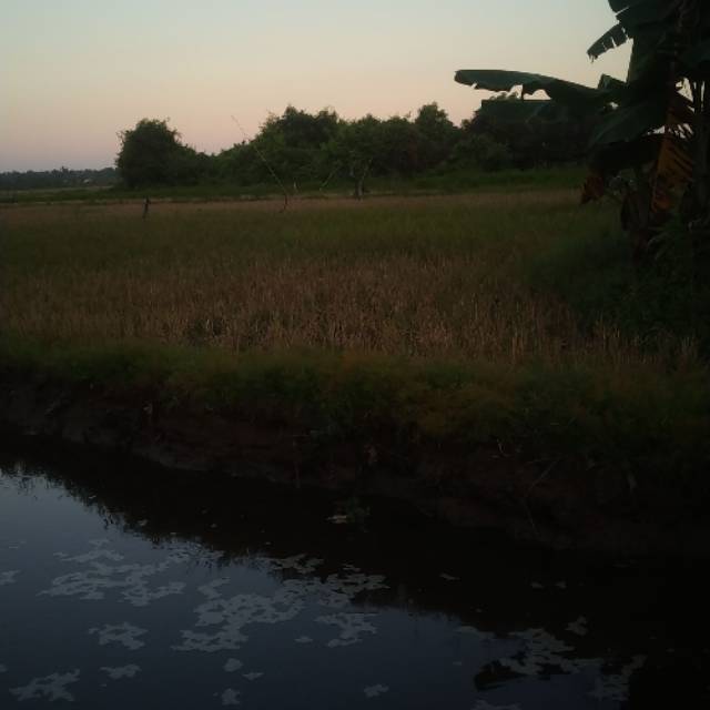 sandika34