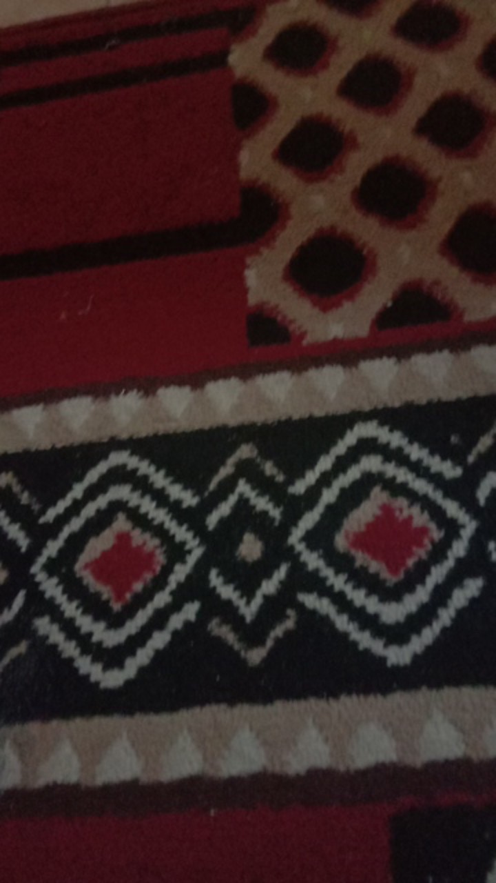 Ring Bearer Tempat Cincin Kaca Terarium