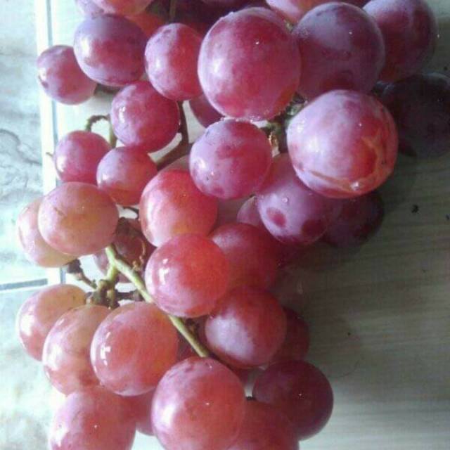 

Buah Anggur merah