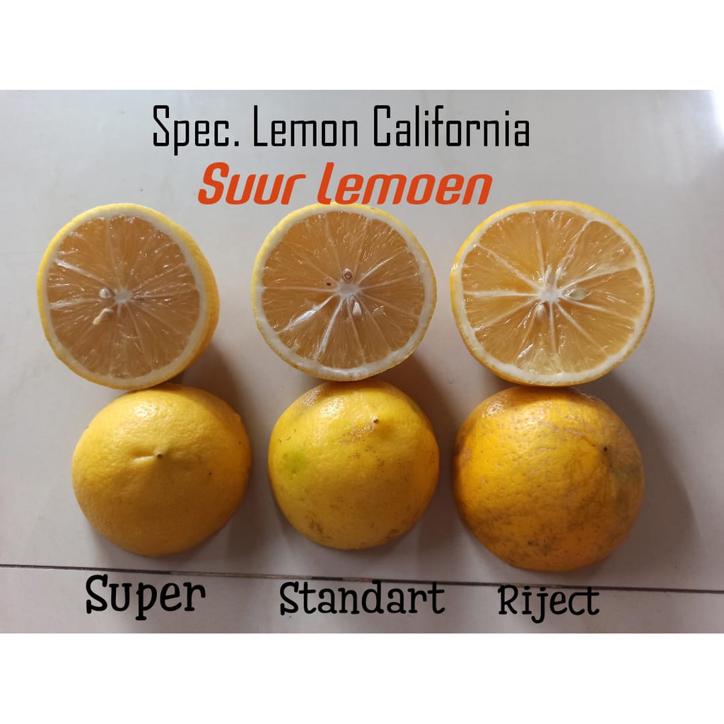 Jeruk Lemon California Grade B (Standart) 1KG  Suur Lemoen ID