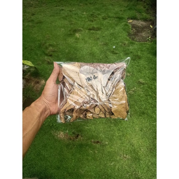 Daun Ketapang Olahan 250 gram Untuk ikan