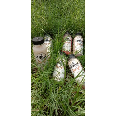 

misugaru latte // ngLac misugaru latte // Korean Healthy Drink
