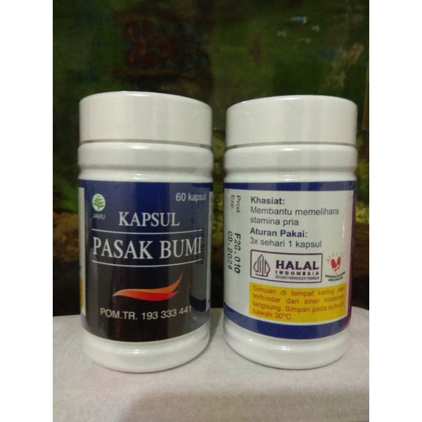 Kapsul Pasak Bumi 60 Kapsul Al-Ghuroba Kesehatan Seksual Halal BPOM MUI