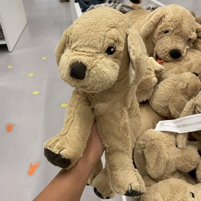 BONEKA ANJING GOLDEN RETRIEVER IKEA/ BONEKA BINATANG / BONEKA KARAKTER - 40 CM