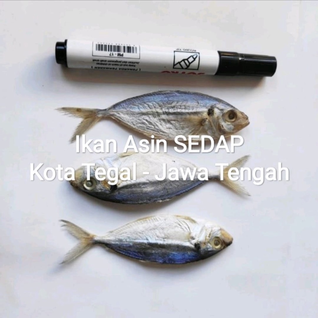 

Ikan Asin Selar Kering 100gram