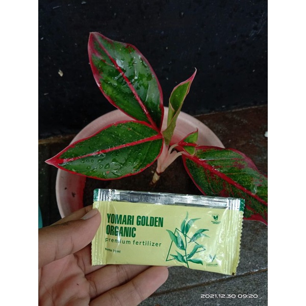 Pupuk YOMARI GOLDEN ORGANIK Eceran