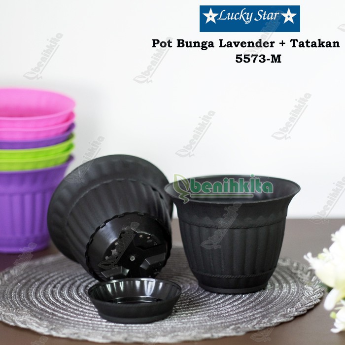 Pot Tanaman-Bunga Lavender M 5573-H (Lucky Star)